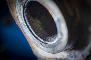 NMV_150326_00008_webb